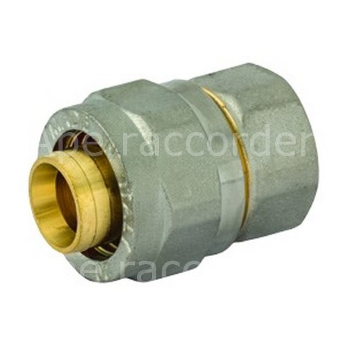 Lauskónar Múffutengi