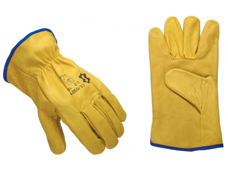 DRIVER VINNUHANSKAR.GRÁIR 10