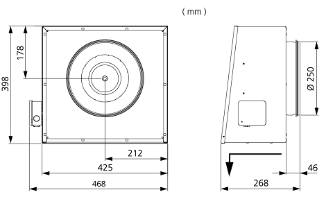 Veggblásari RS 250 B1 EC