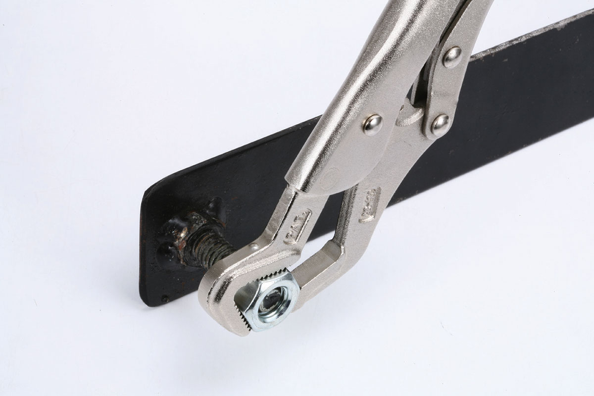 Krafttöng Parrot nose