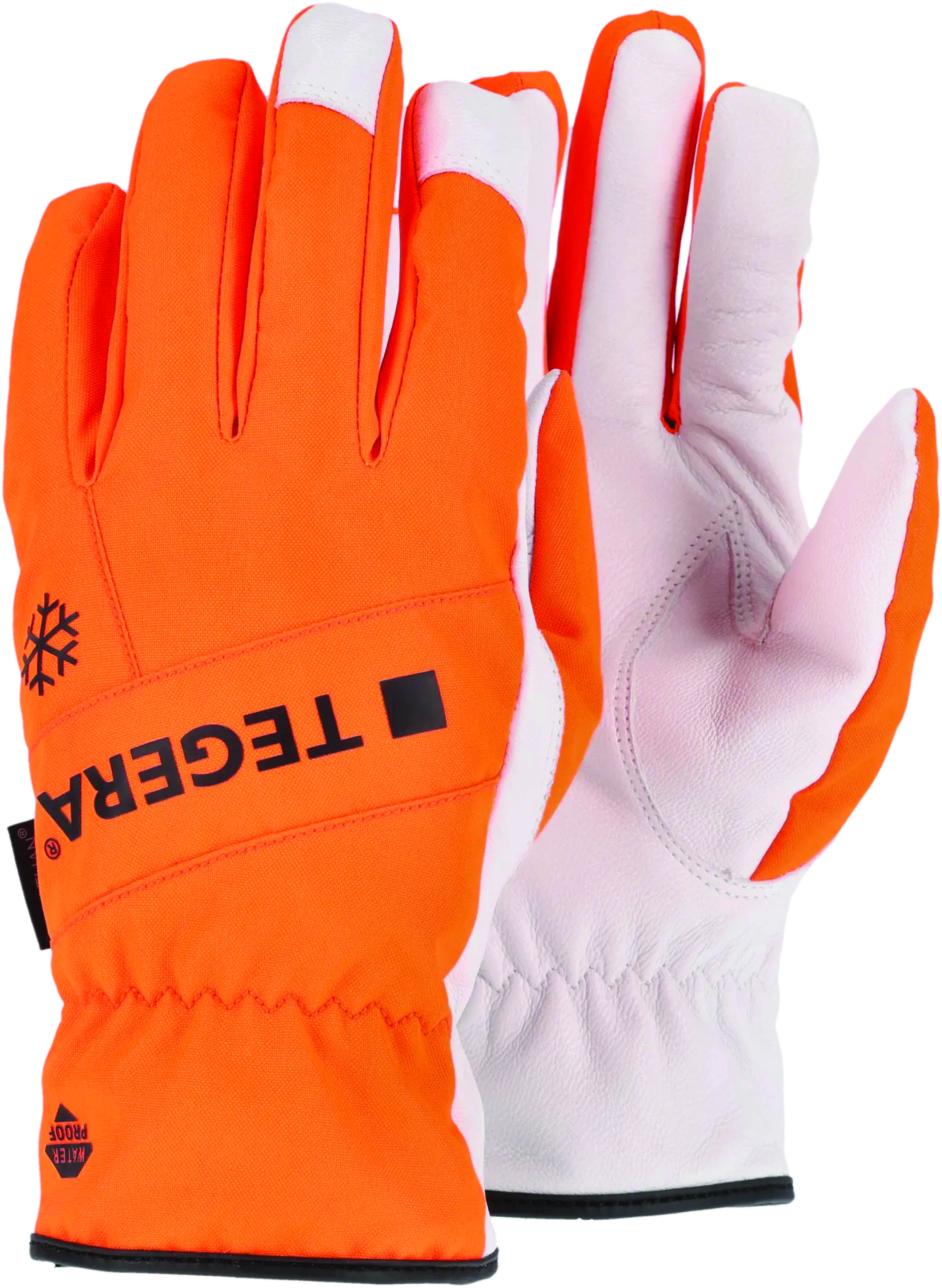 Vetrarhanski Vatnsheldur