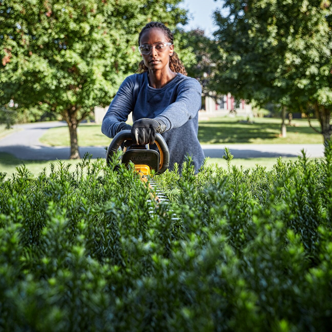 Hekkklippur 54V XR 65 cm blað og 31mm skurðargeta