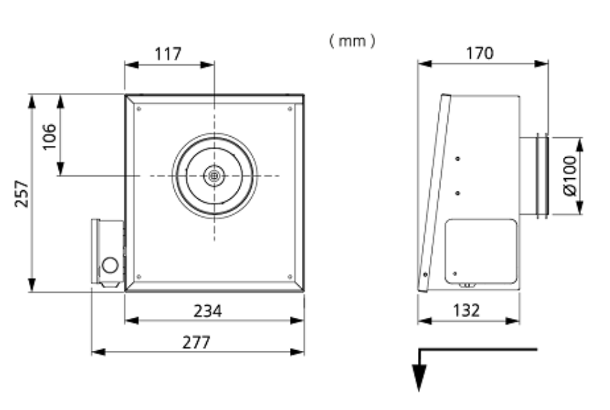 Veggblásari RS 100 C EC