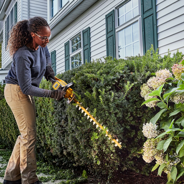 Hekkklippur 54V XR 65 cm blað og 31mm skurðargeta