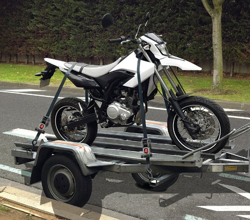 Strappi með krók 3m