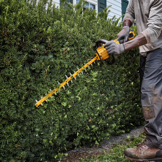 Hekkklippur 54V XR 65 cm blað og 31mm skurðargeta