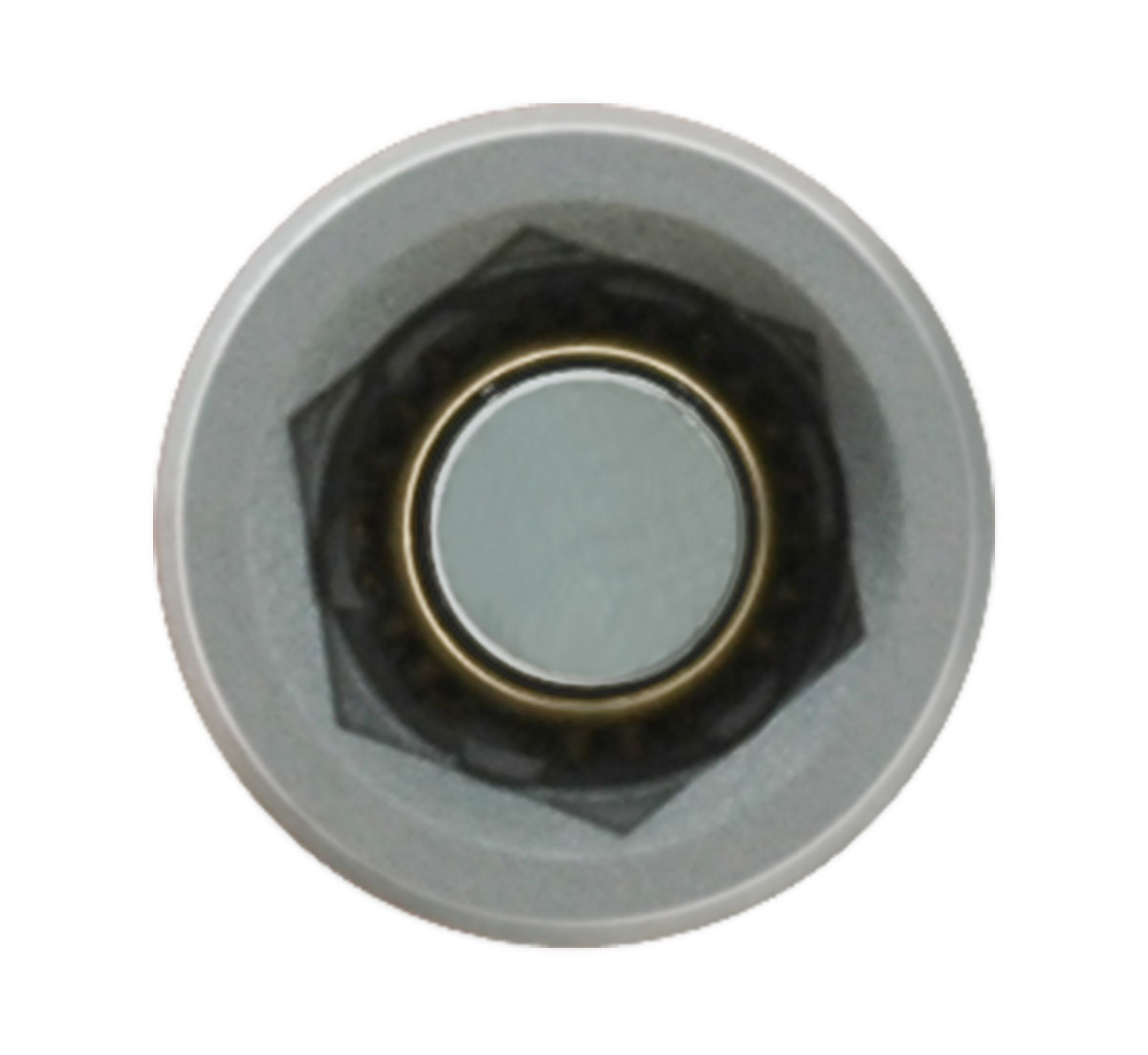 Segultoppur 8mm L=200mm