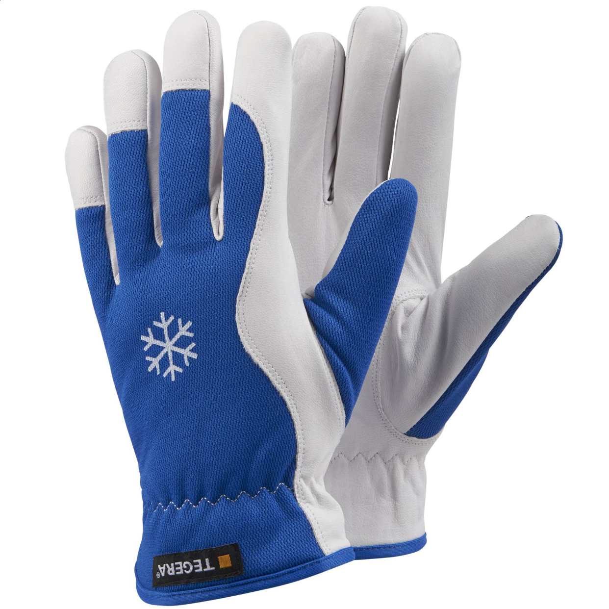 Vetrar geitaskinnshanskar