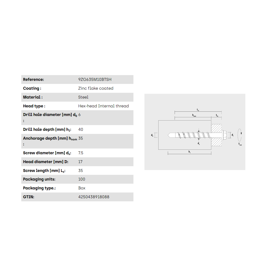 Múrskrúfa innansexkant -6-35 M10 Zink flaked