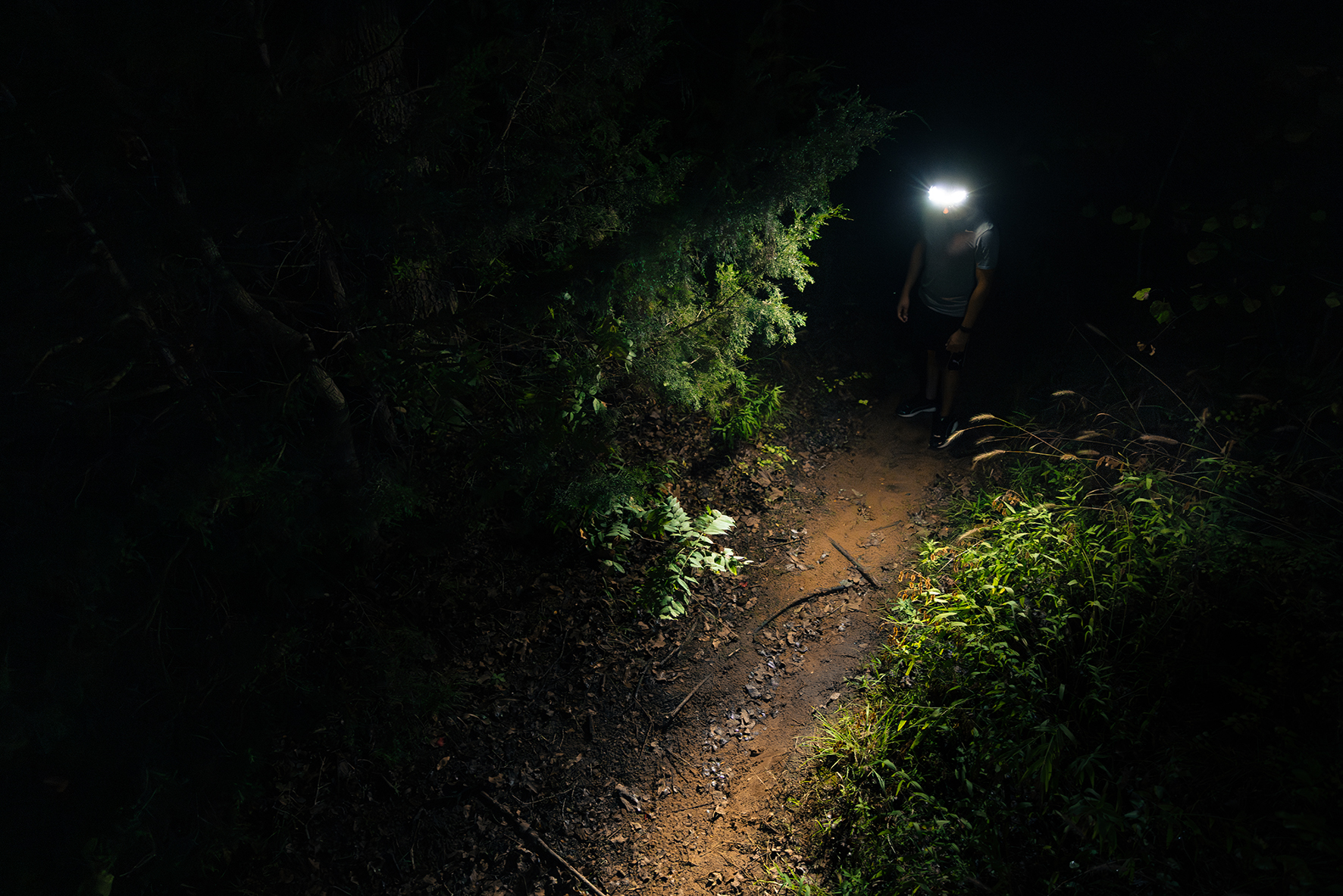 Höfuðljós NEBO Curv Hybrid 600 lumen