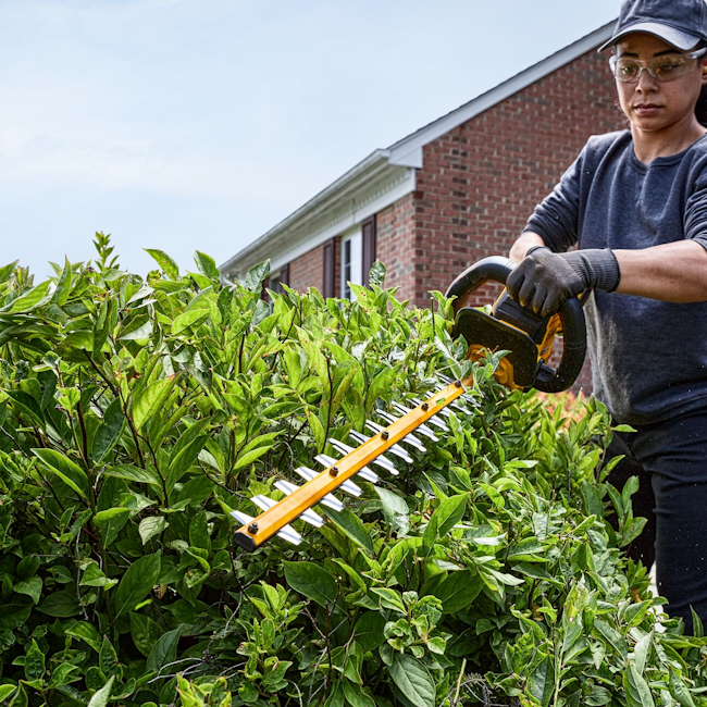 Hekkklippur 54V XR 65 cm blað og 31mm skurðargeta