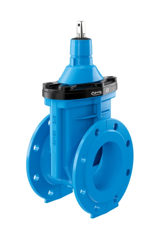 HAWLE E3 LOKI DN 80 PN16