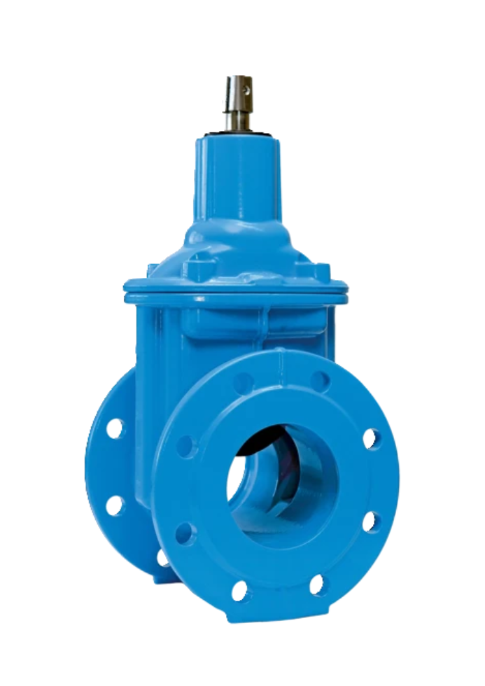 HAWLE E1 LOKI DN300 PN10