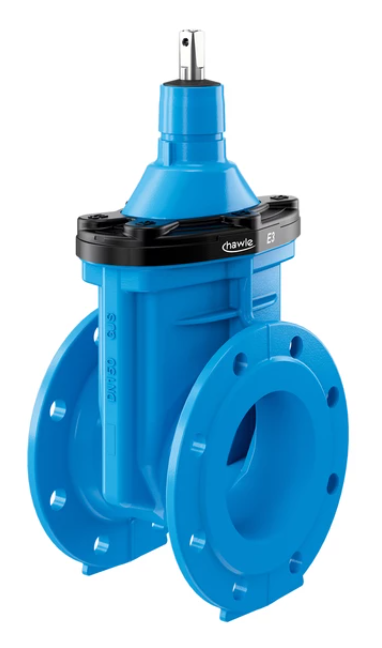 HAWLE E3 LOKI DN 65 PN16